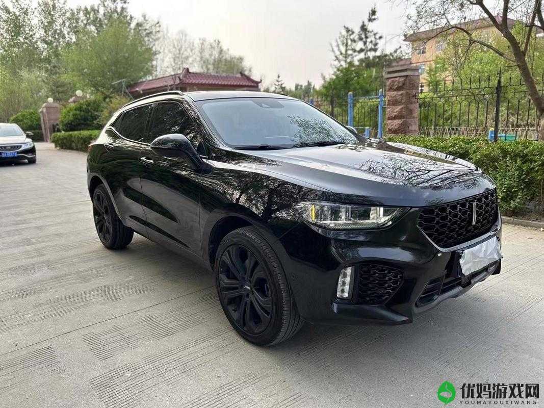 Wey VV5 国产的 SUV：畅享舒适驾驭体验的智能座驾